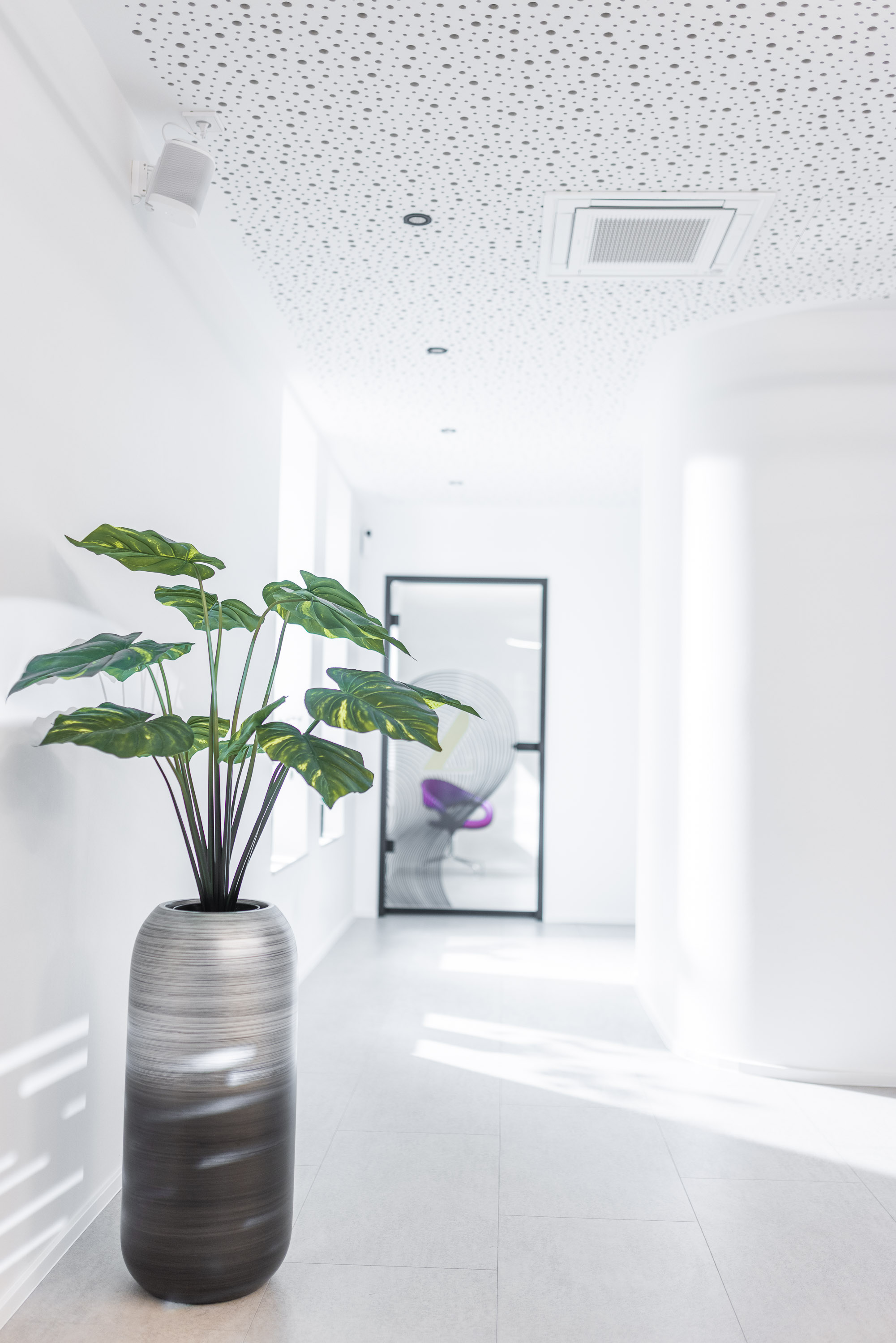 Heller Flur mit Pflanze und modernem Praxisdesign in der Kieferorthopädie Dr. Enaia, Fulda