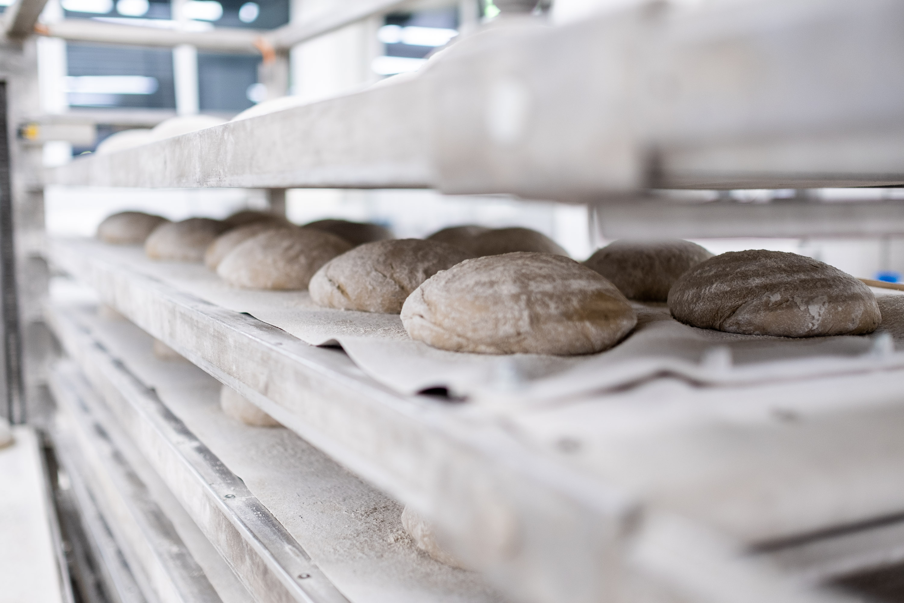 Fotoshooting - Brot nach dem Gähren kurz vor dem Backen bei Fotoreportage für eine Bäckerei
