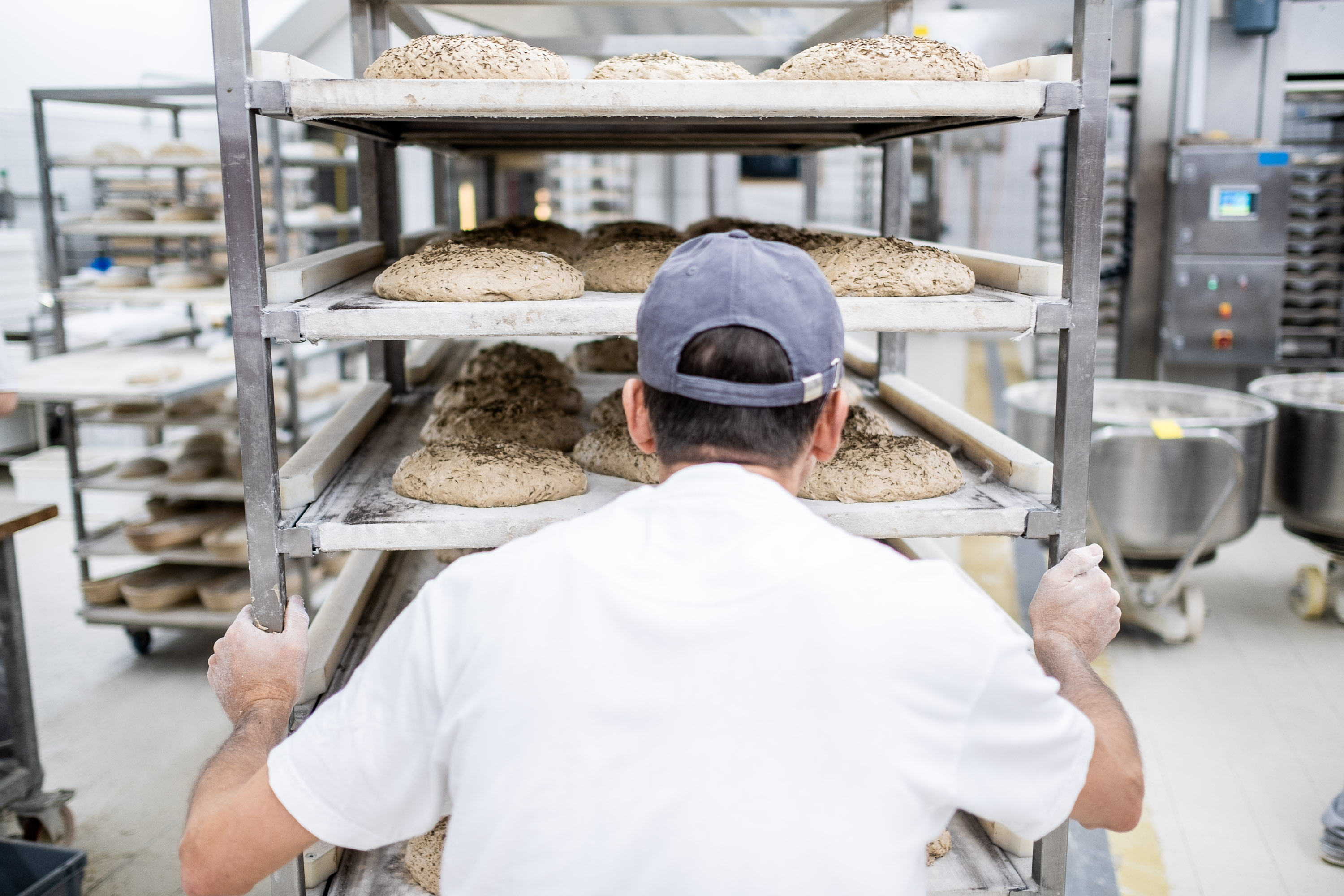 Backwaren werden durch Bäckerei Geschoben von Bäcker bei einem Fotoshooting für Social Media