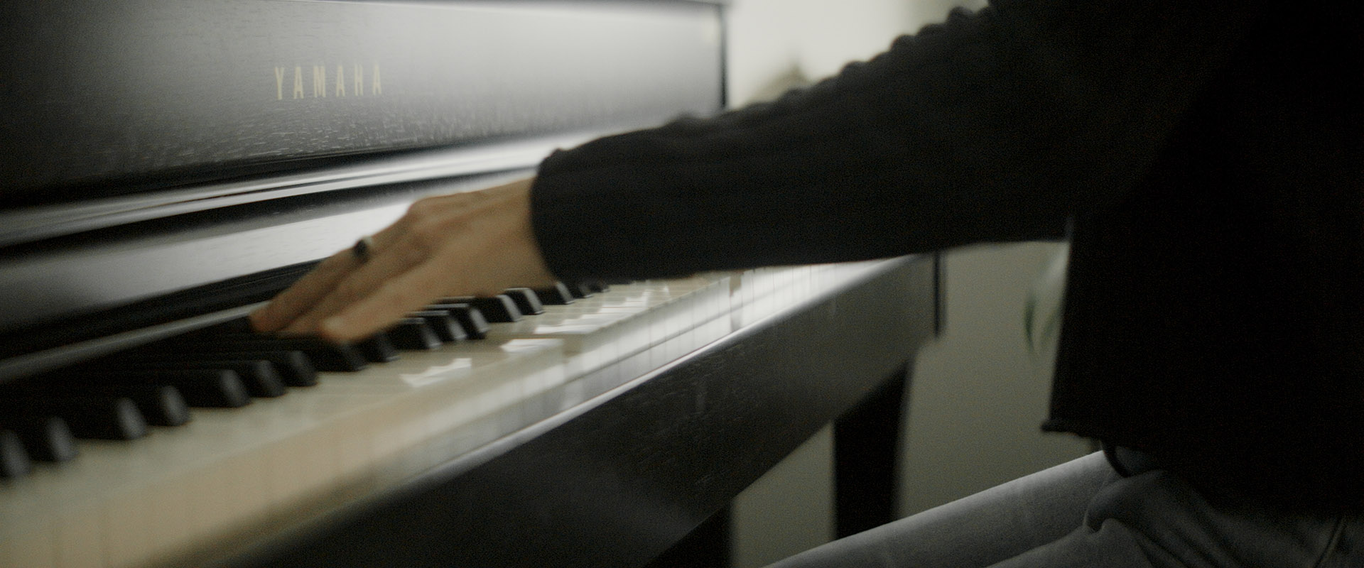 Content Agentur für Tiermedizin und MedTec - Operation Pferdebein im CT mit Qualibra 