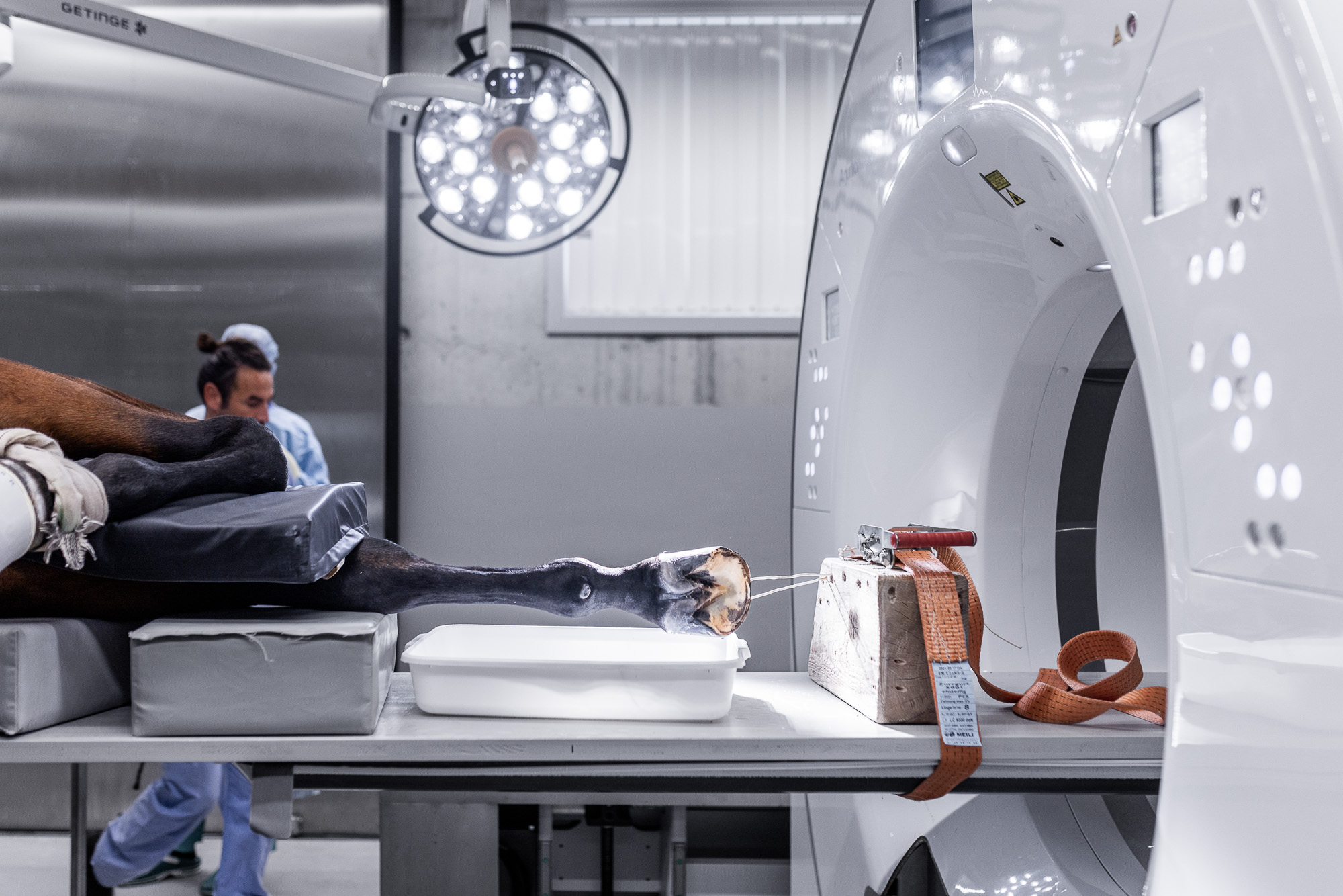 Content Agentur für Tiermedizin und MedTec - Operation Pferdebein im CT mit Qualibra 