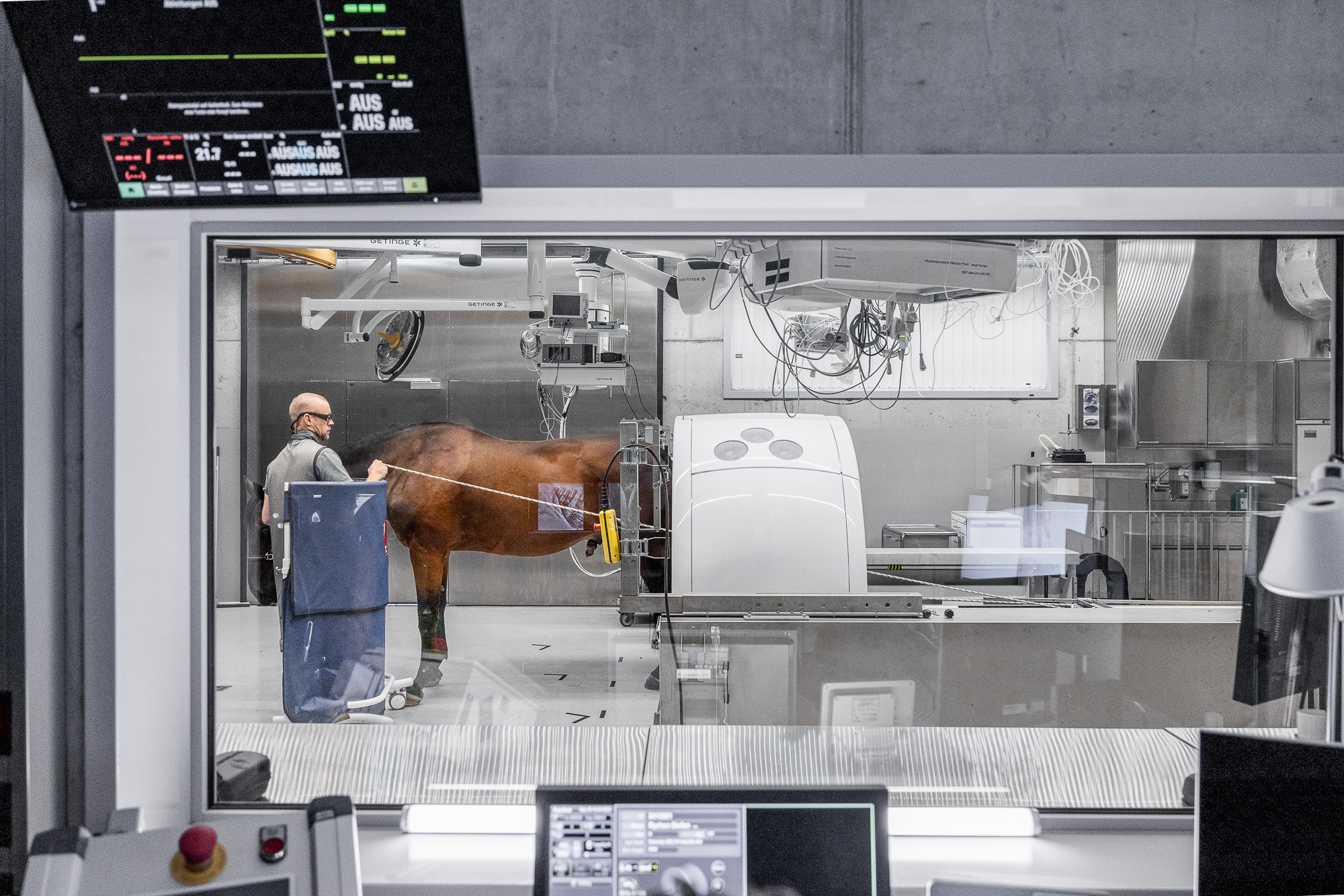 Qalibra CT in der Anwendung bei einer Filmproduktion in der Schweiz mit Pferd in der TIermedizin