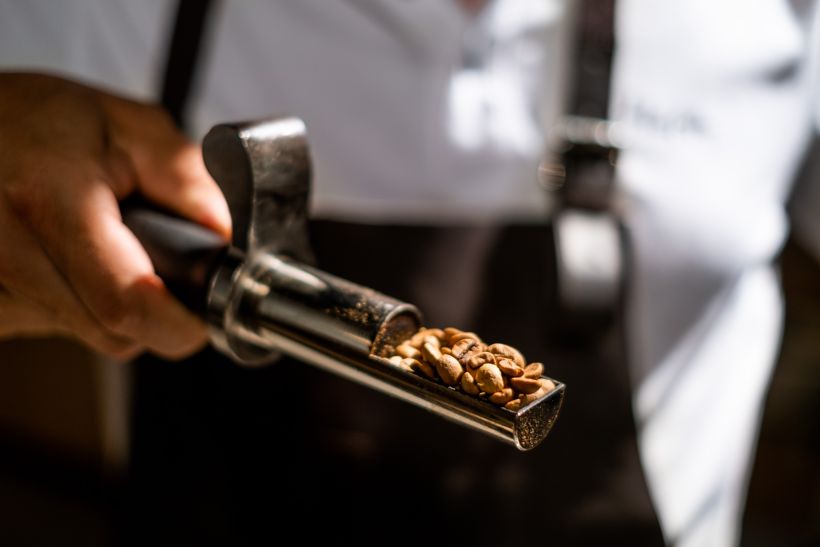 Hochwertige Aufnahmen beim Werbeshooting in einer Kaffeerösterei - Bohnen werden begutachtet