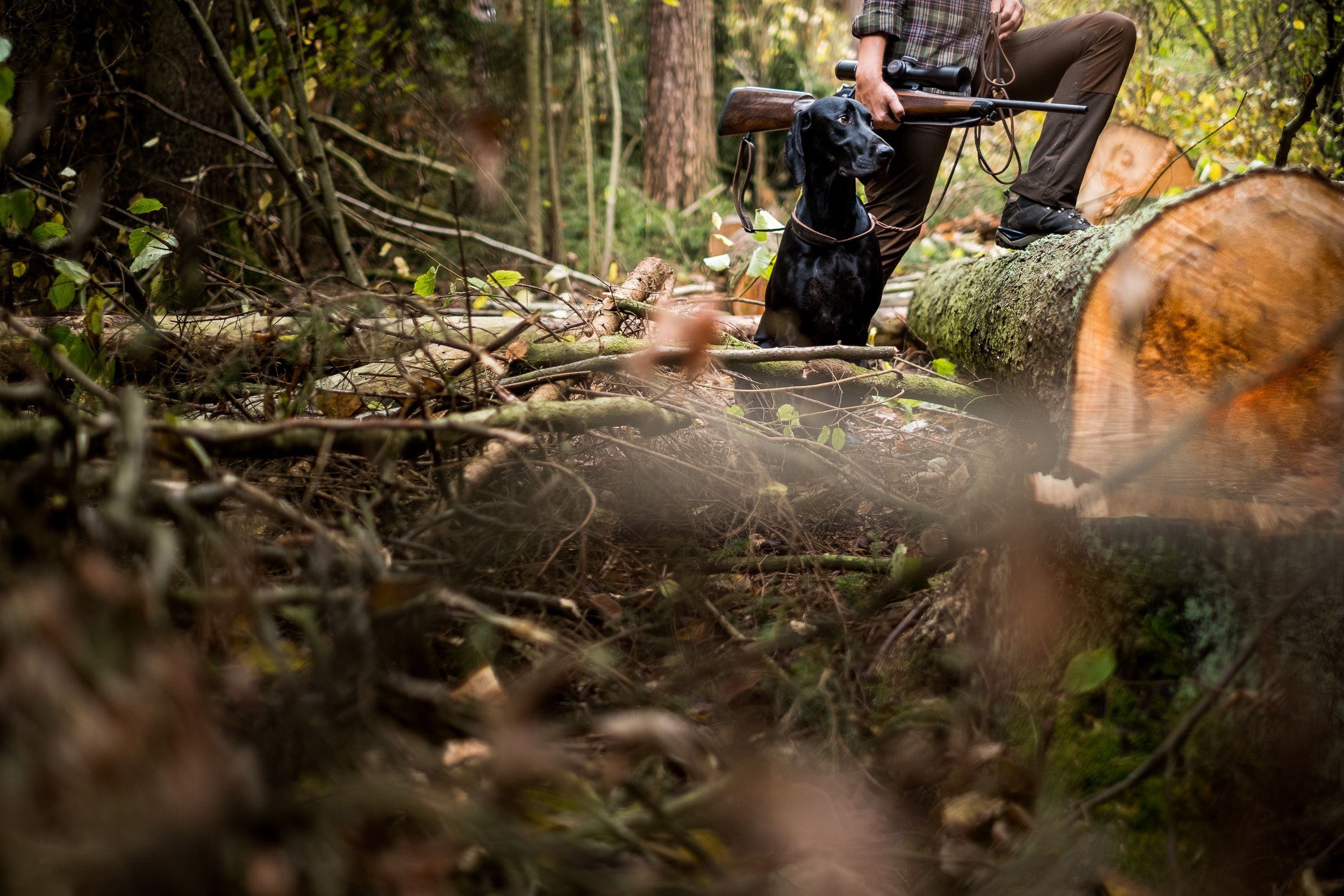 Jagdhund und Jägerin halten im Wald ausschau nach Wild bei einem Werbefotoshooting