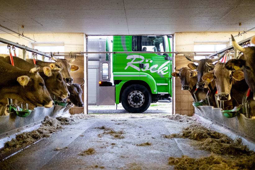 Fotoreportage Produktion von Social Media Content mit 1 Mio Views - MAN TGX Milchtransporter Blick aus Kuhstall im Allgäu