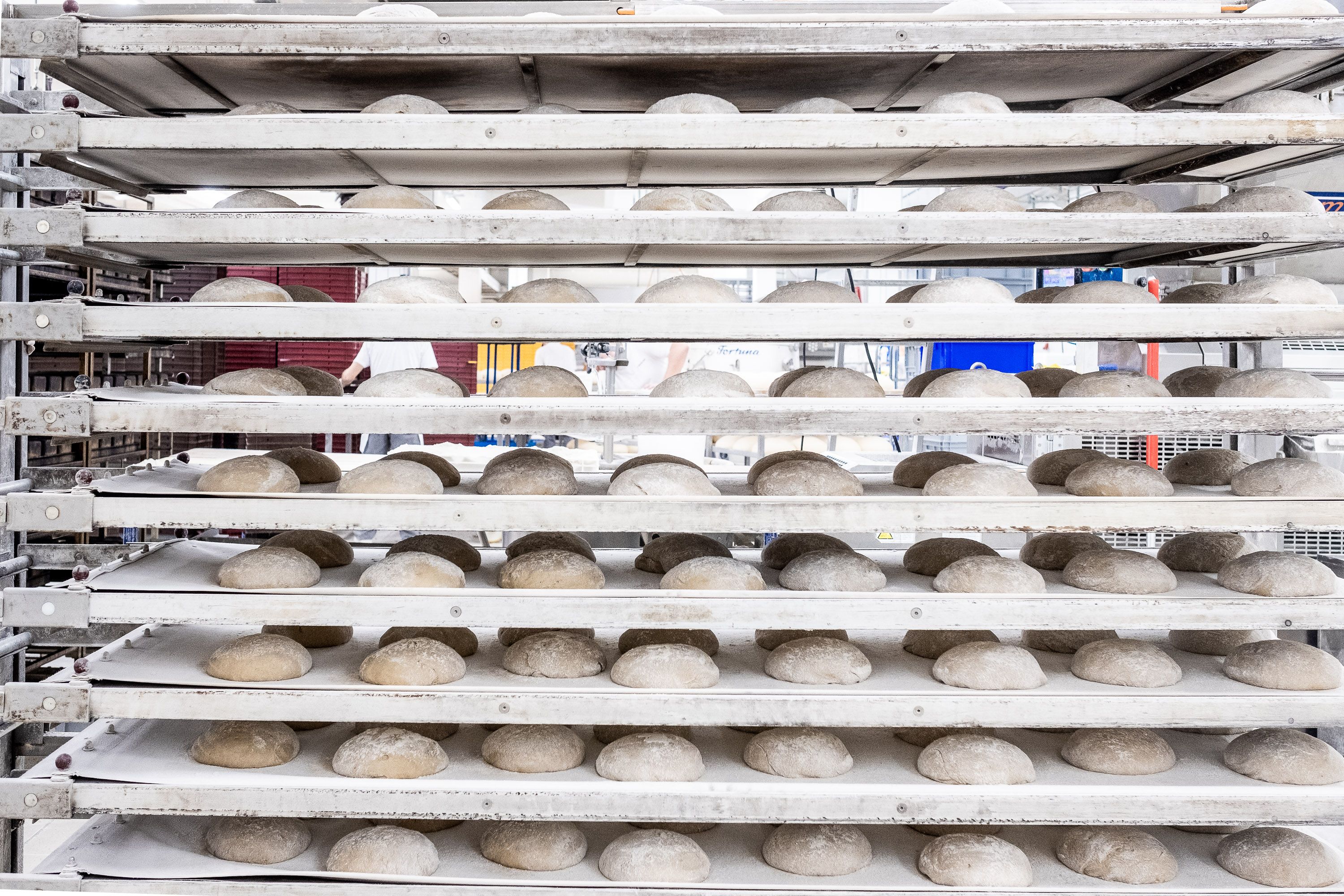 Brotrohlinge auf einem Wagen im Bäcker Handwerk bei Fotoshooting für Social Media