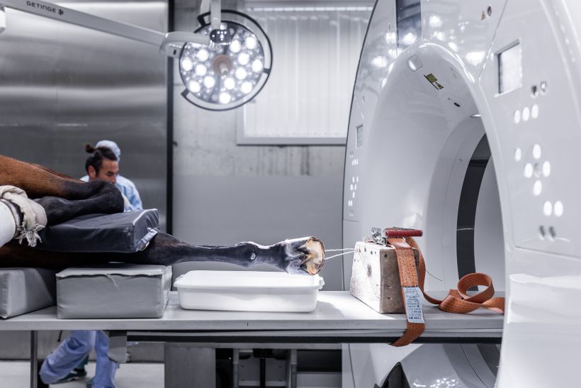 Content Agentur für Tiermedizin und MedTec - Operation Pferdebein im CT mit Qualibra