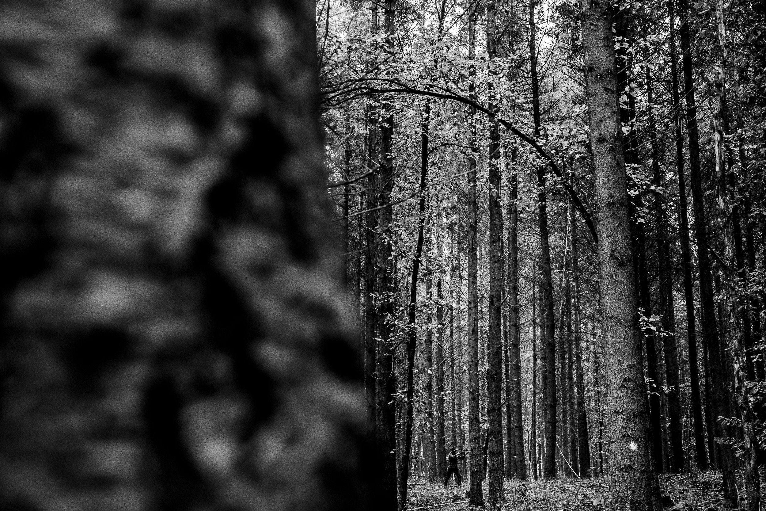 Schwarz Weiss Bild im Wald - Reportagefotografie für Blaser Jagdwaffen