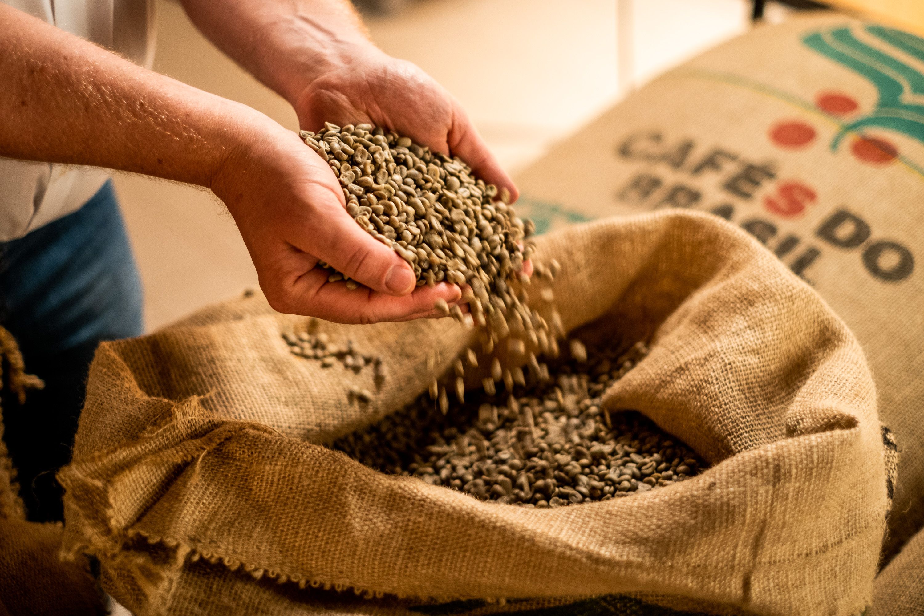 Kampagnen Fotografie für Rösterei - Kaffeebohnen werden roh geprüft